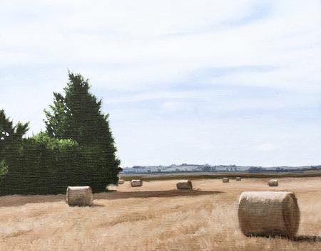 Hay Rolls, Morning Light 