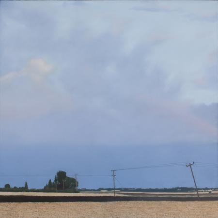 Evening Landscape After Rain