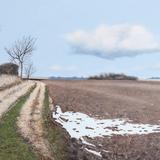 The Last Of The Melting Snow