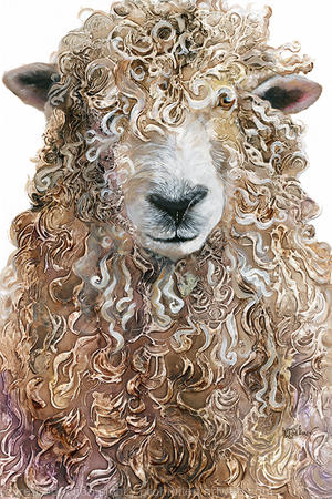 Devon and Cornwall Longwool