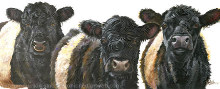 Belties