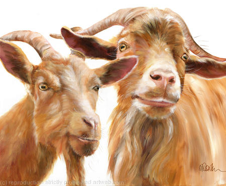 Golden Guernsey Goats