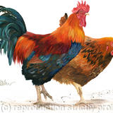 General Custard and Matilda