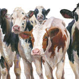 Waiting for the Spring Grass