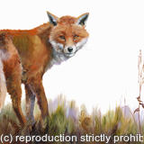 The one that got away