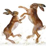 Boxing Hares
