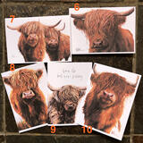 Five Cards Featuring Highland cows