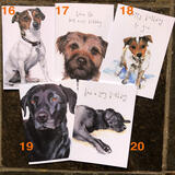 Five Cards featuring Dogs