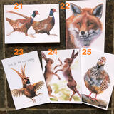 Five Cards Featuring Wildlife