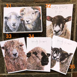 Five Cards Featuring Sheep