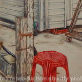 Standing Their Ground