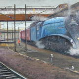 Sir Nigel Gresley at York Station 5th July 2008