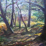 america-woods-i.o.w.