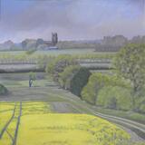 Bintree woods towards North Elmham Church