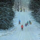 Enjoying the snow, twylight, Bintree woods