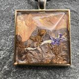 Flower in the Desert 