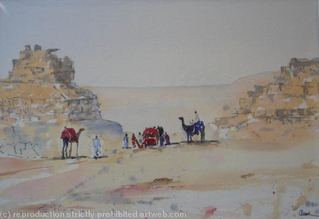 Camels at Giza
