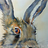 March Hare