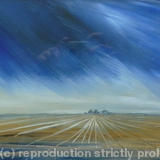 ploughed field
