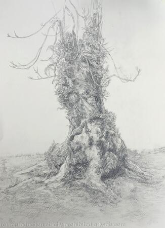 Tree Study (2018)