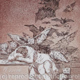 El sueno da la razon produce monstruos (after Goya)