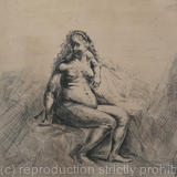 Seated Female Nude (dopo Rembrandt)