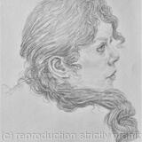 Study for Hesperathusa - Summer (2020)