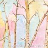 Sunshine on a Winter's Day