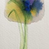 With special thanks...