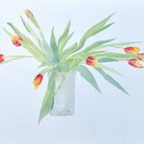 Spring is in the Air