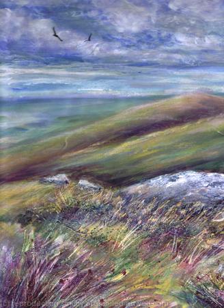 Buzzards over Dartmoor 