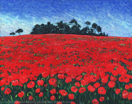 Poppies on Folly HIll