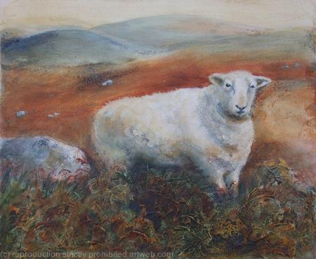 Moorland Sheep in the Bracken