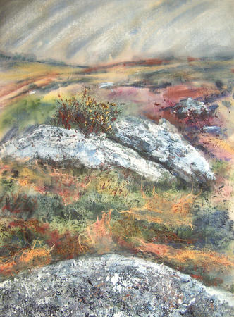 Rocks and Gorse on Dartmoor