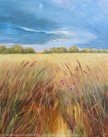 Dark Sky over Oxfordshire Field