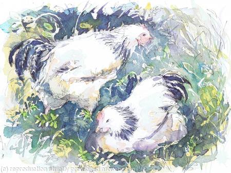 Two Hens In the Garden