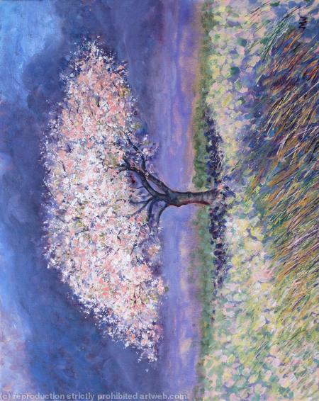 Cherry Tree in Spring