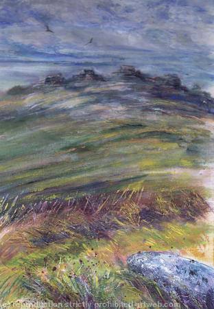Distant Tors, Dartmoor