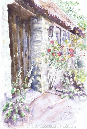 Foxgloves by the Barn Door