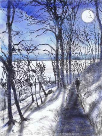 Moonlit Walk to the Sea