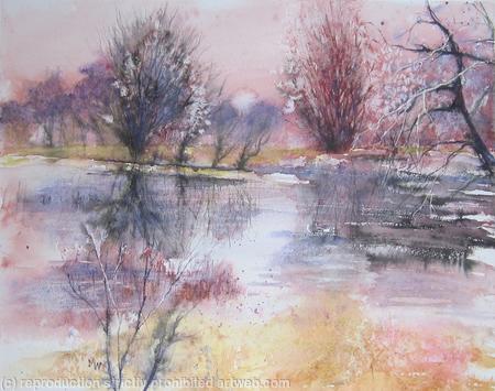 Flooded Fields with Bullfinch