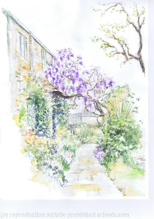 Wisteria at Gaunt's Mill