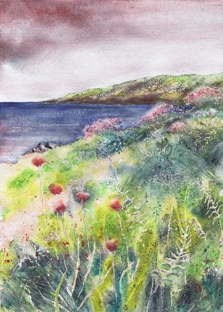 Sea Thrift, Cornwall