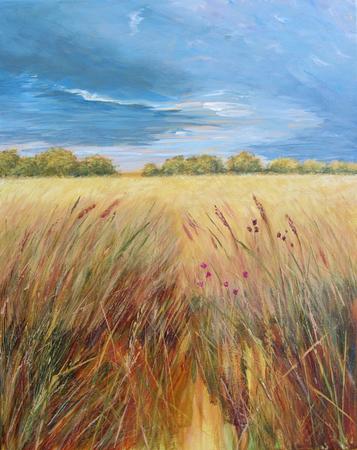 Dark Sky over Oxfordshire Field 