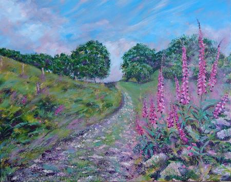 Wild Foxgloves by the Track 