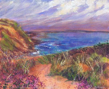 Purple Heathers by the Coastpath