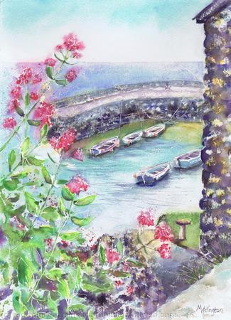 Overlooking Coverack Harbour