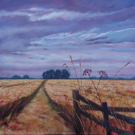 Path Through the Field