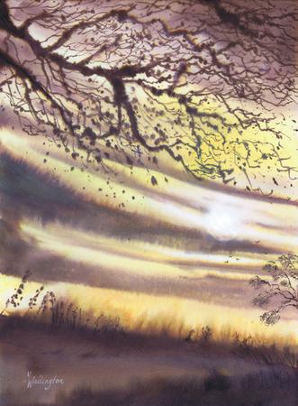 Evening Light, Winter Trees