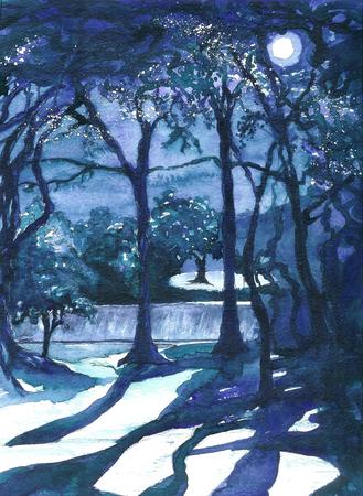 Moonlit Trees